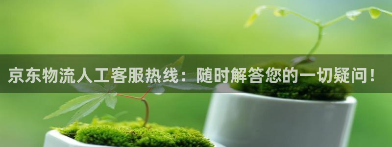 超凡国际客服电话：京东物流人工客服热