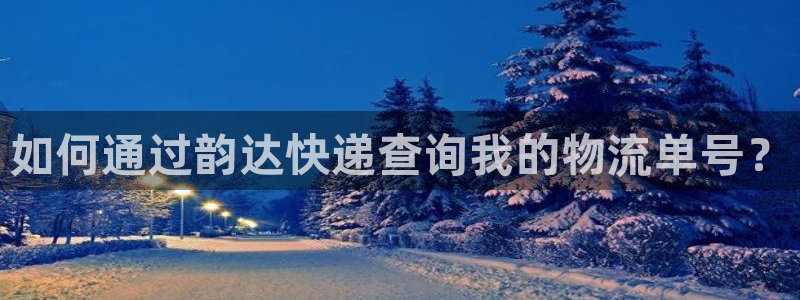 超凡国际连接：如何通过韵达快递查询我