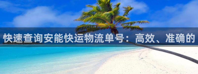 加拿大超凡国际是什么：快速查询安能快