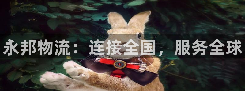 超凡国际是干嘛的：永邦物流：连接全国