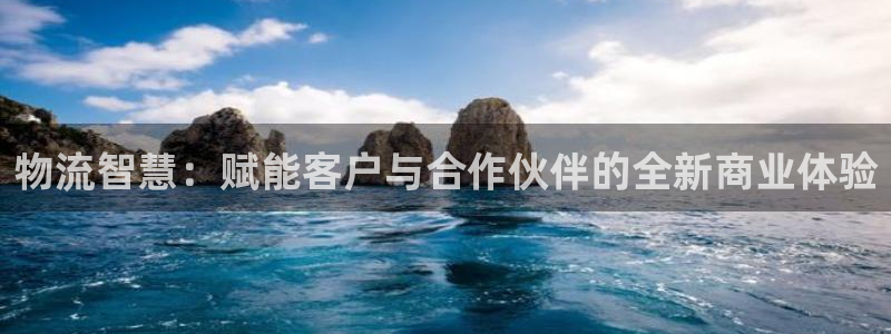 超凡国际模拟器：物流智慧：赋能客户与