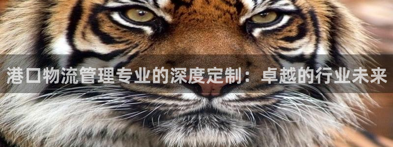 超凡国际注册登录链接流程：港口物流管