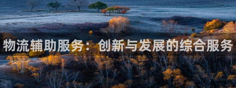 超凡国际加拿大下载：物流辅助服务：创