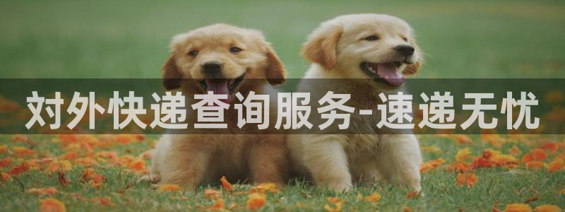 超凡国际下载链接是多少：対外快递查询