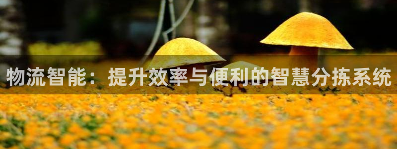 超凡国际提现未达5期是什么意思：物流