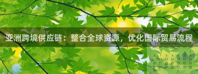 超凡国际模拟器在线玩：亚洲跨境供应链