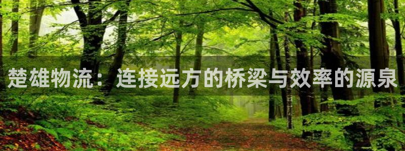 超凡国际电子游戏：楚雄物流：连接远方