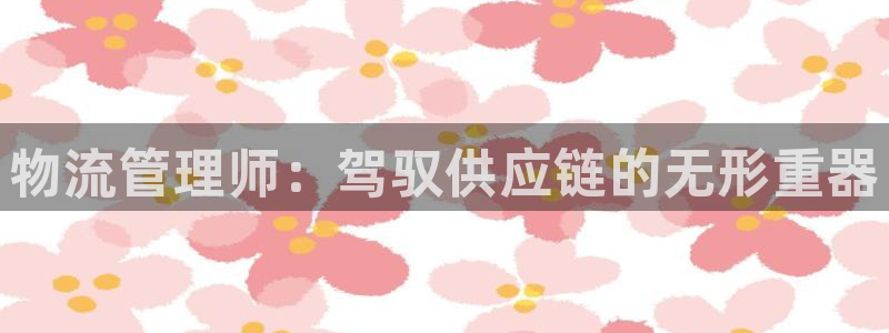 超凡国际分分28输了能不能退：物流管理师：驾驭供应链的无形重