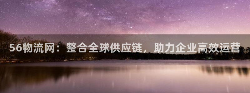 超凡国际下载二维码：56物流网：整合