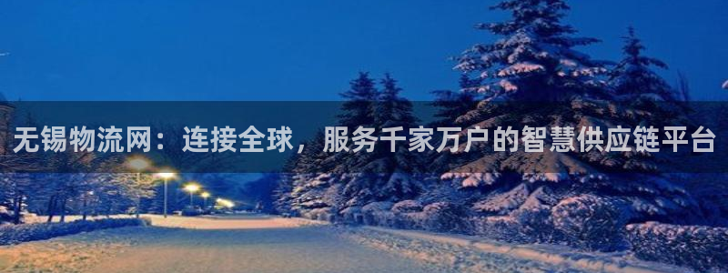 超凡国际的平台：无锡物流网：连接全球
