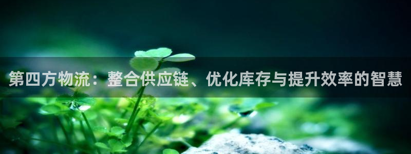超凡国际玩法：第四方物流：整合供应链