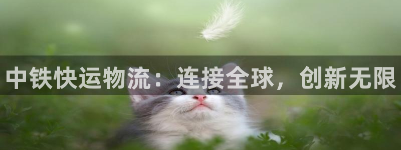 超凡国际连接：中铁快运物流：连接全球