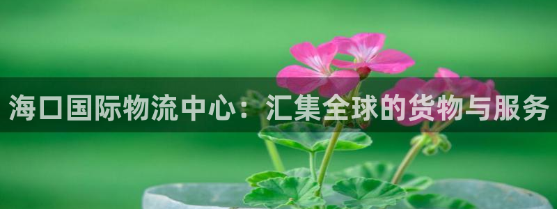 超凡国际官网入口pc28：海口国际物