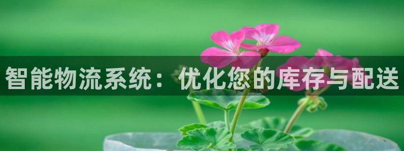 超凡国际加拿大技巧：智能物流系统：优