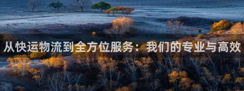 超凡国际流水怎么算：从快运物流到全方