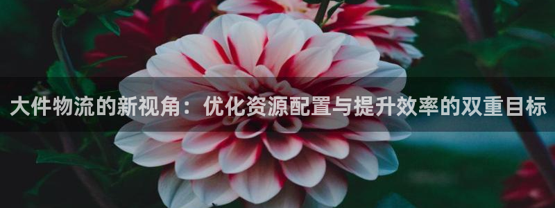 超凡国际预测：大件物流的新视角：优化