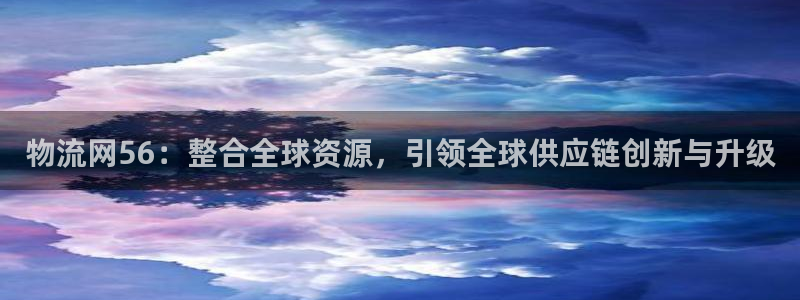 超凡国际合法吗：物流网56：整合全球资源，引领全球供应链创新