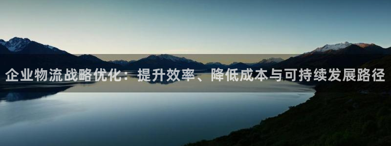 超凡国际口：企业物流战略优化：提升效