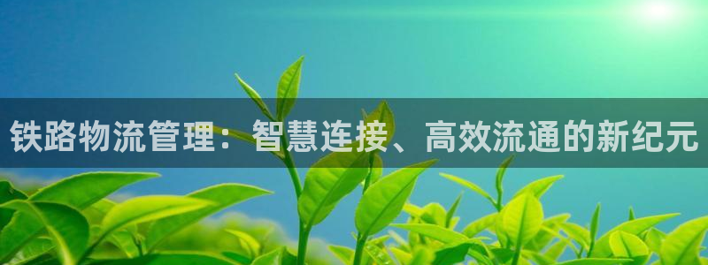 超凡国际大神预测:铁路物流管理:智慧