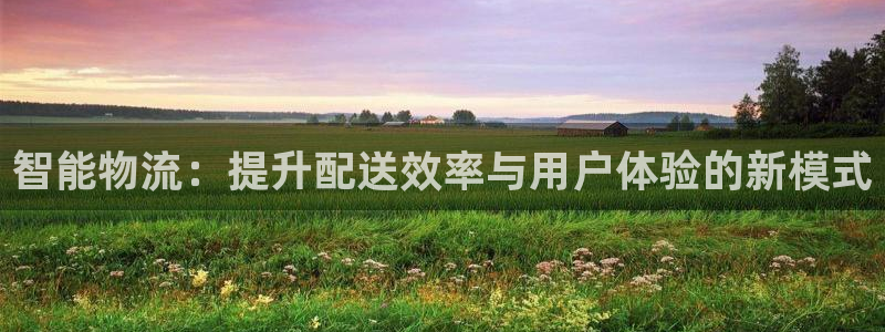 超凡国际官网入口：智能物流：提升配送