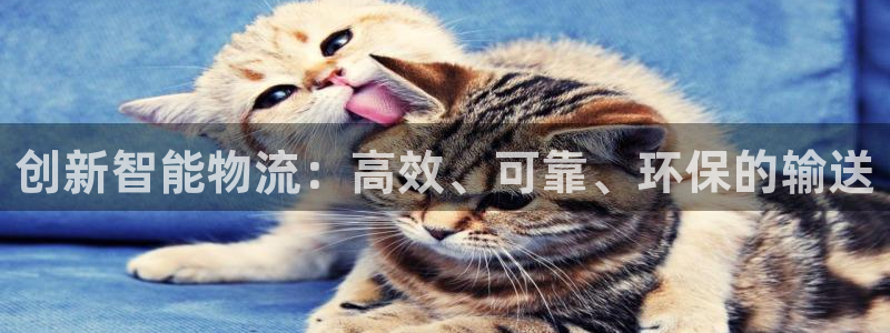 超凡国际软件是什么:创新智能物流:高