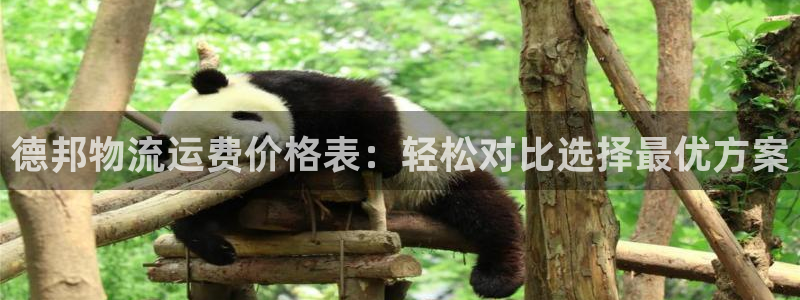 超凡国际下载不了：德邦物流运费价格表：轻松对比选择最优方案
