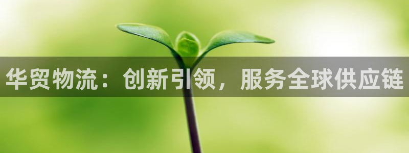 加拿大超凡国际是什么：华贸物流：创新引领，服务全球供应链